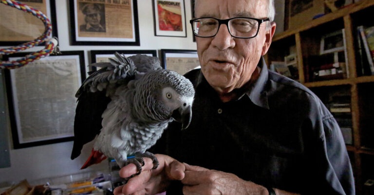 Joe Sharkey, Travel Writer Who Survived Midair Collision, Dies at 77