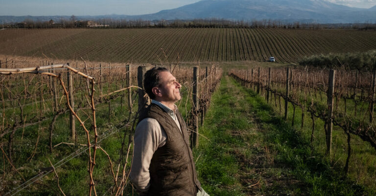 To Find the Best Values in Italian Wine, Look to Abruzzo